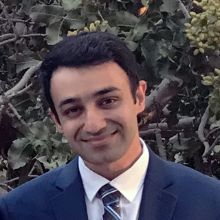 Mostafa Hassanalian, Assistant Professor