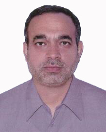M.H. Djavareshkian, Professor (supervisor of my MSc thesis)